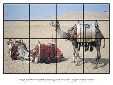 Puzzle-Kamel-3.pdf